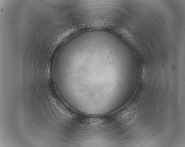 X0000087310636200704271403