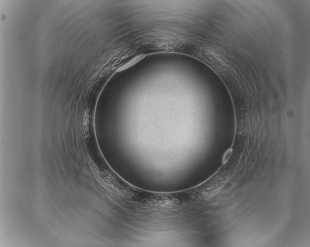 X0000087310646200704271403