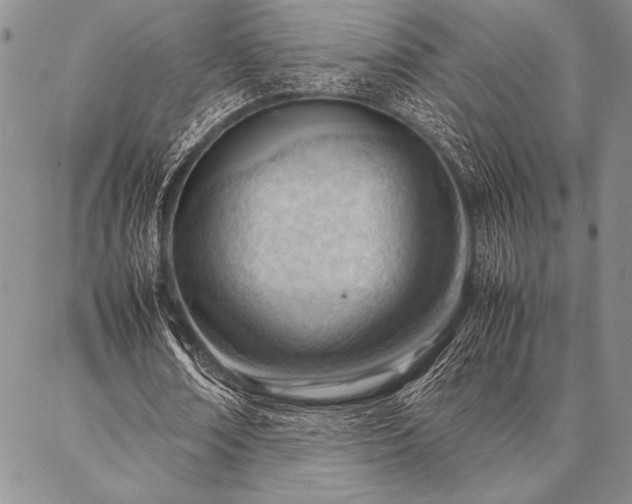 X0000087310674200704271403