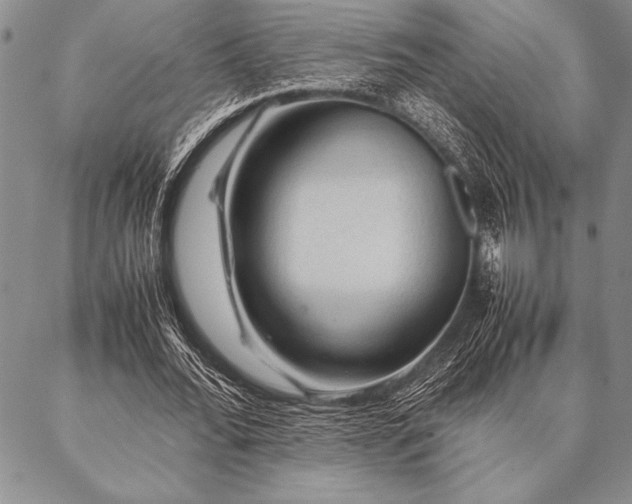 X0000087310676200704271403
