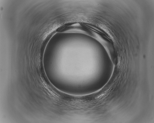 X0000087310677200704271403