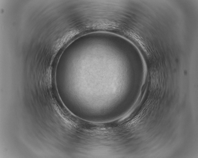 X0000087310678200704271403
