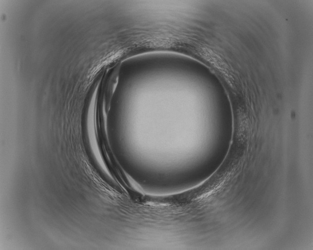 X0000087310681200704271403