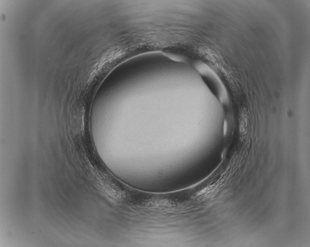 X0000087310685200704271403