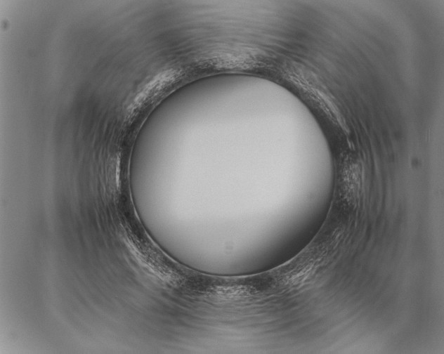 X0000087310686200704271403