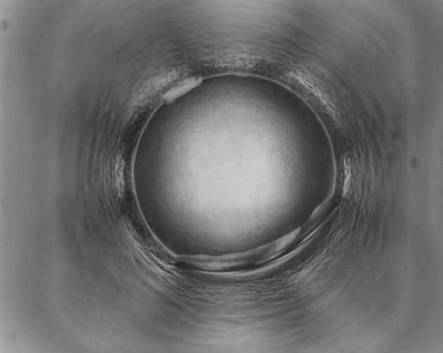 X0000087310692200704271403