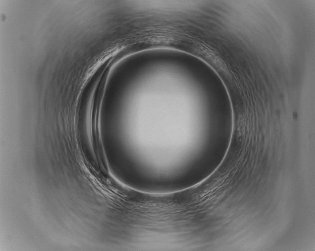 X0000087310722200704271401