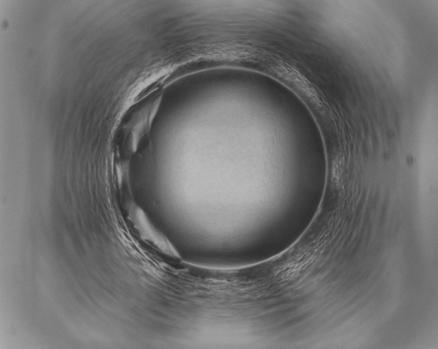 X0000087310724200704271401