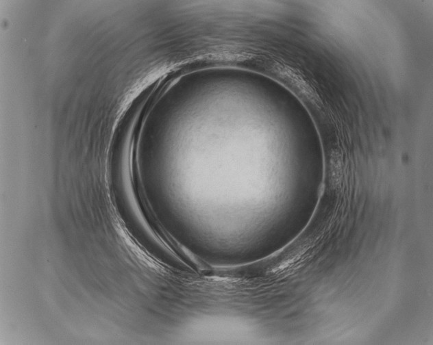 X0000087310726200704271402