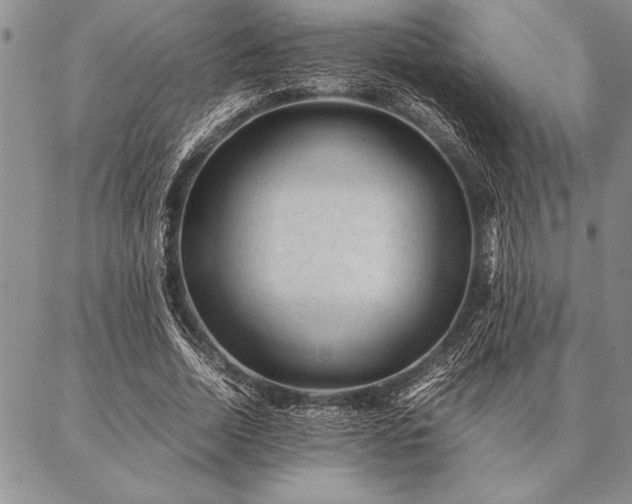 X0000087310730200704271402