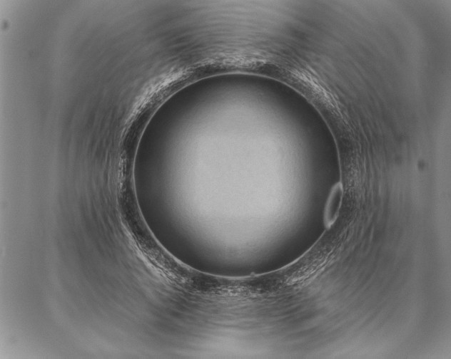 X0000087310736200704271402