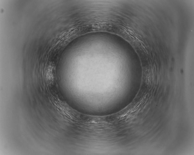 X0000087310770200704271401