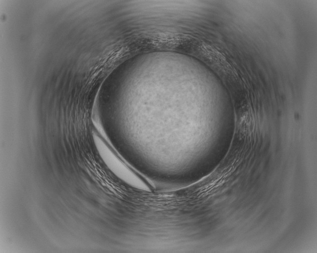 X0000087310772200704271401