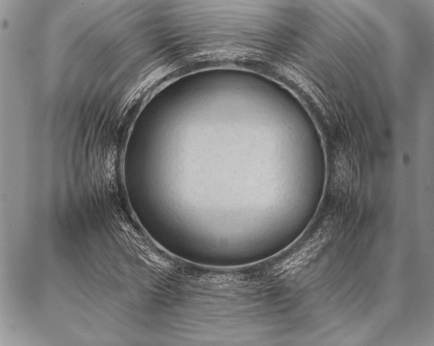 X0000087310778200704271401