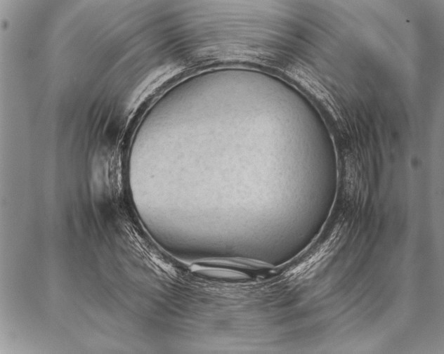 X0000087310782200704271401