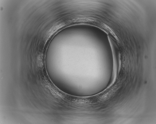 X0000087310786200704271401