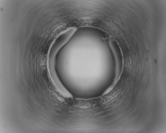 X0000087310818200704271400