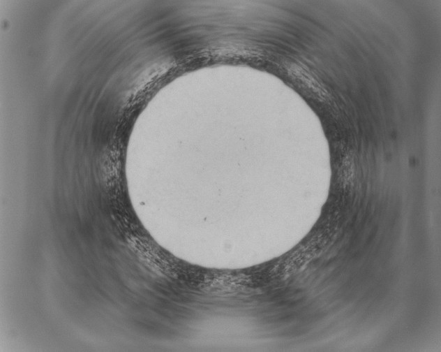 X0000087310824200704271400