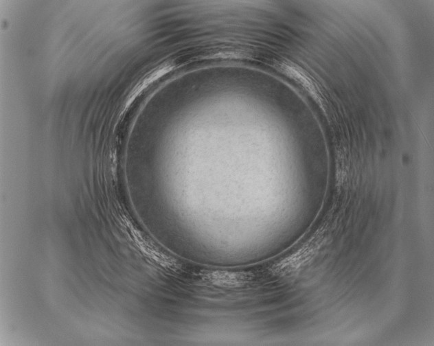 X0000087310827200704271400