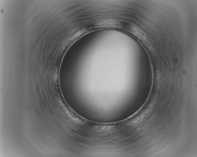 X0000087310841200704271400