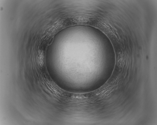 X0000087310866200704271400