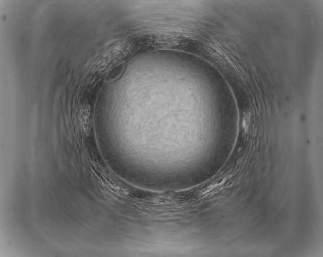 X0000087310867200704271400