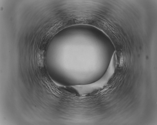 X0000087310868200704271400