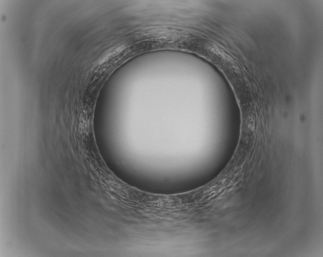 X0000087310869200704271400