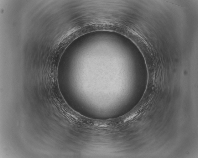 X0000087310870200704271400