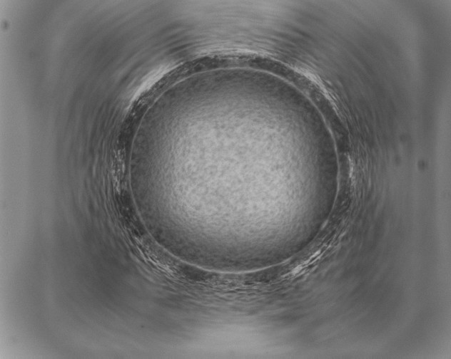 X0000087310871200704271400