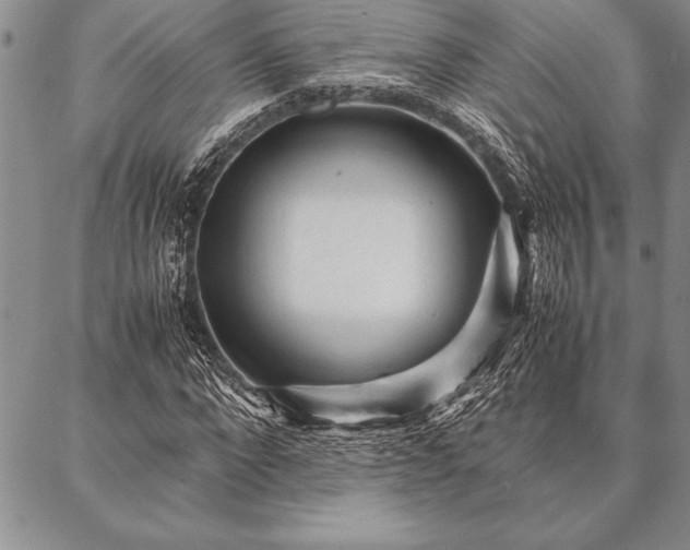 X0000087310872200704271400