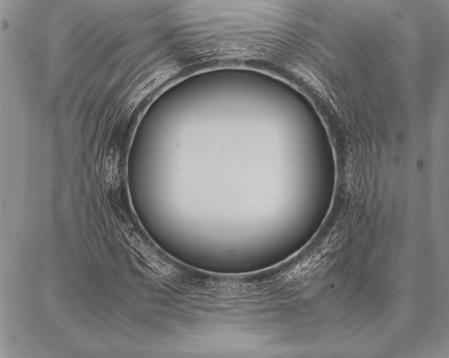 X0000087310873200704271400