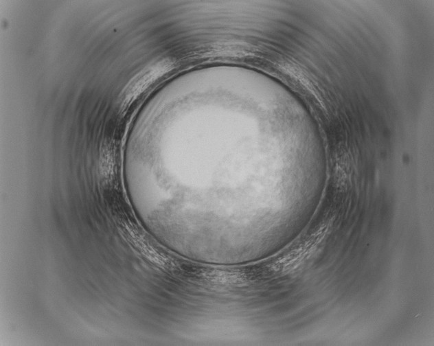 X0000087310874200704271400
