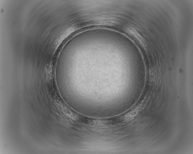 X0000087310875200704271400