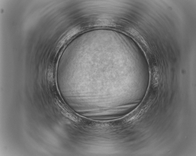 X0000087310882200704271400