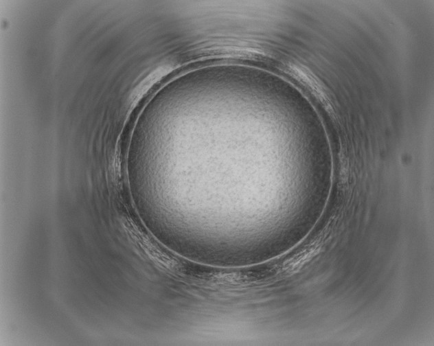 X0000087310883200704271400