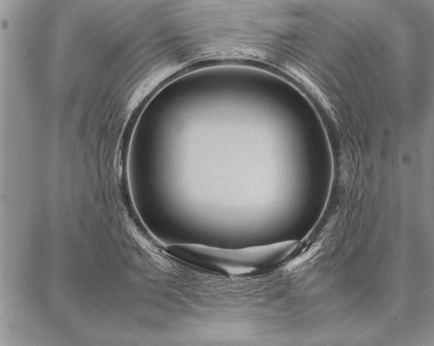 X0000087310885200704271400