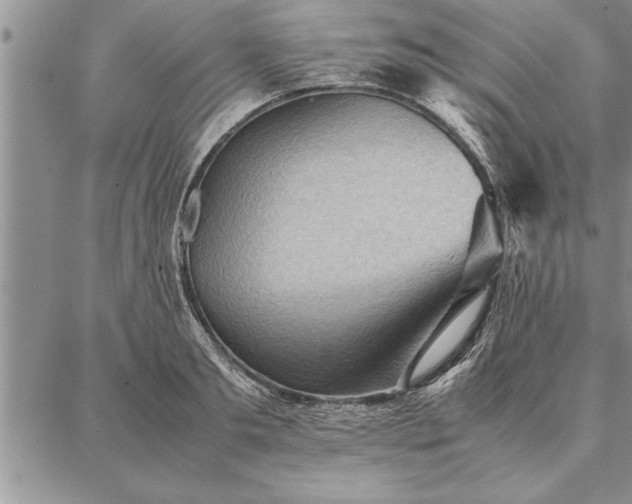 X0000087310893200704271359