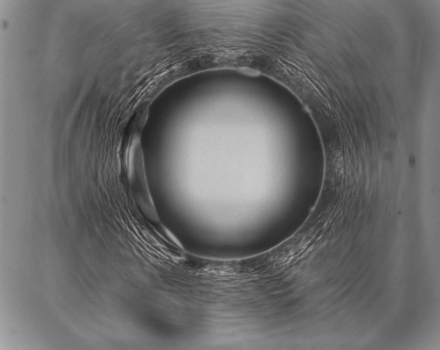 X0000087310914200704271358