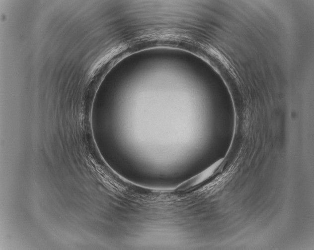 X0000087310922200704271358