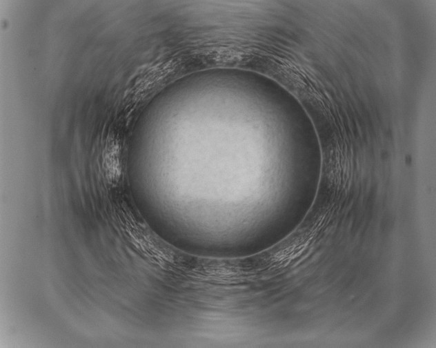 X0000087310962200704271358