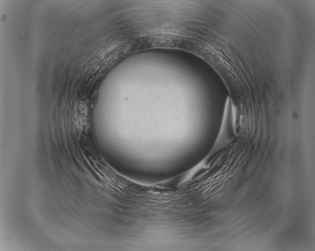X0000087310964200704271358