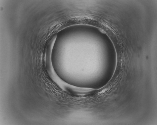 X0000087310965200704271358