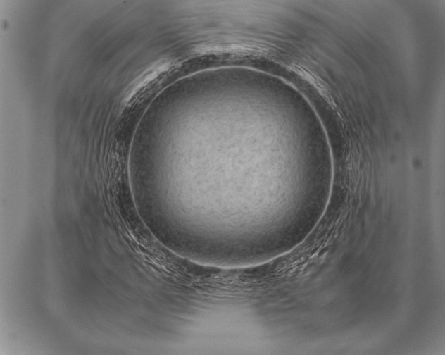 X0000087310967200704271358