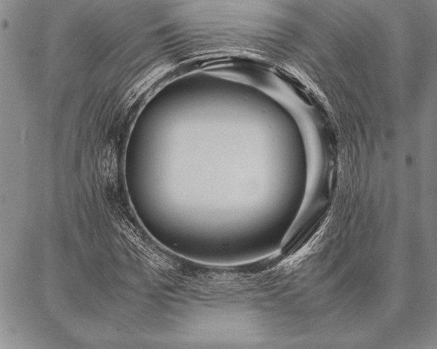 X0000087310969200704271358