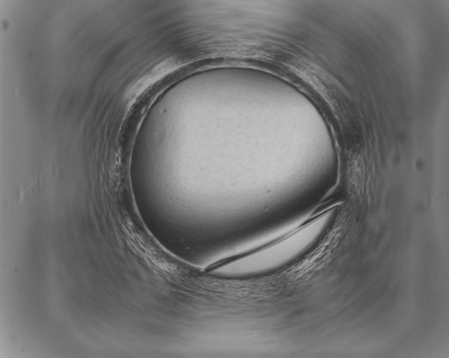 X0000087310971200704271358