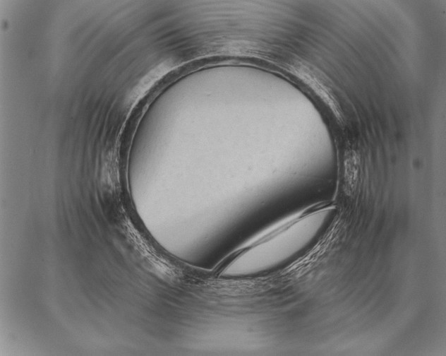 X0000087310972200704271358