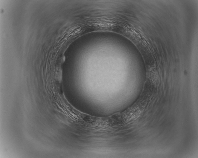 X0000087311009200704271357