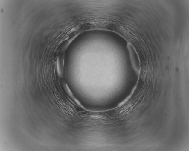 X0000087311010200704271357