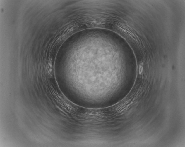 X0000087311011200704271357